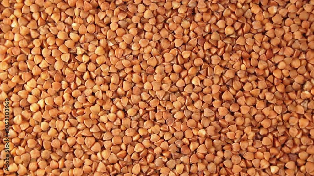 Dry Uncooked Brown Buckwheat Groats, Slowly Rotating Background - Top View. Raw Large Buckwheat Grains. Russian, Ukrainian and Belarusian Culture. Rotation Left Dry Uncooked Brown Buckwheat Groats, Slowly Rotating Background - Top View. Raw Large Buckwheat Grains. Russian, Ukrainian and Belarusian Culture. Rotation Left