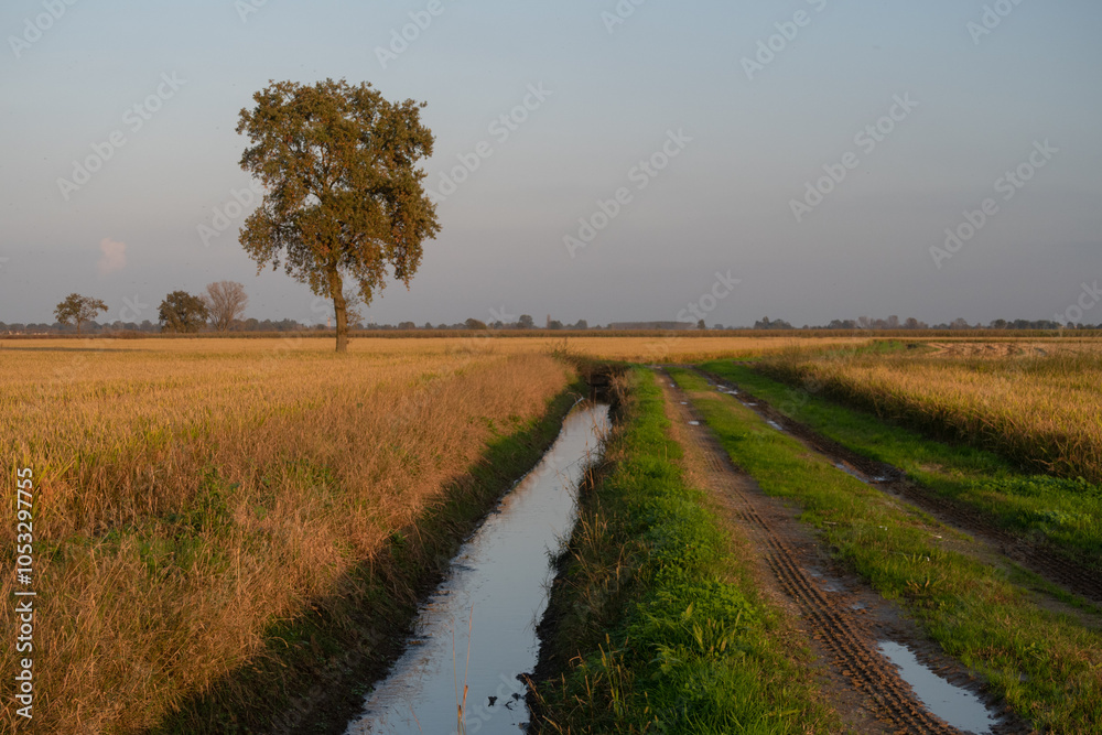 GPS INSIDE Po Valley fields field landscape panorama