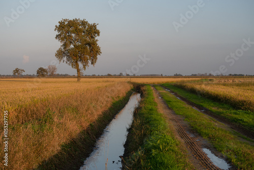 Obraz na płótnie GPS INSIDE Po Valley fields field landscape panorama w salonie