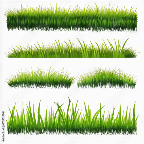 Green Grass Borders Set Isolated White Background