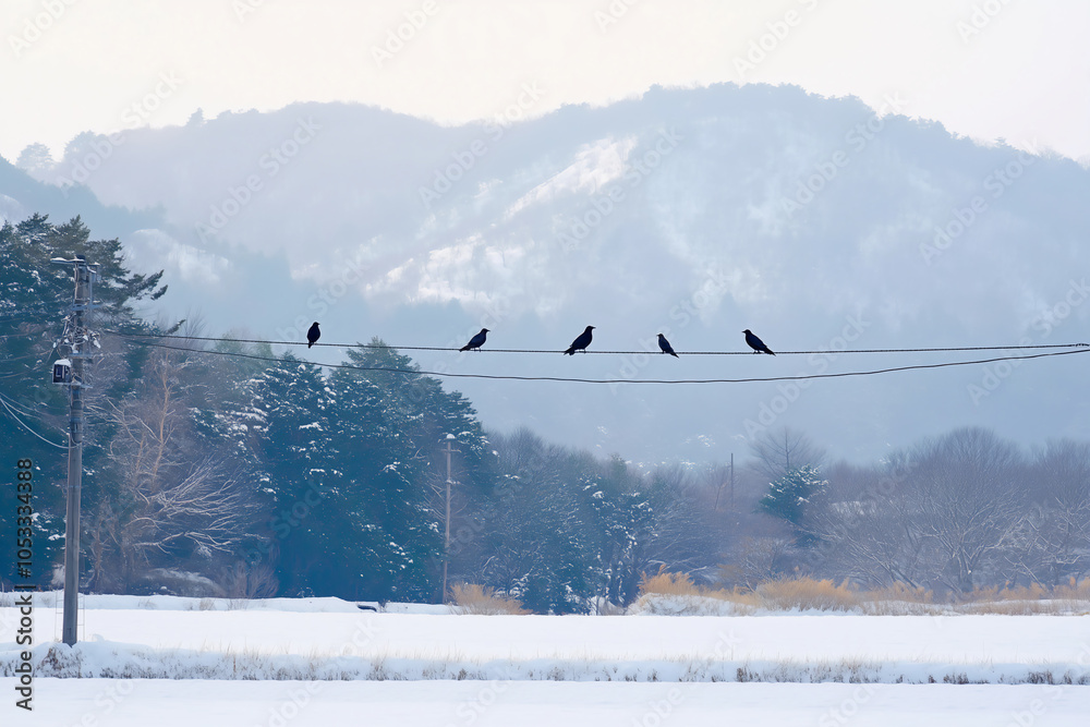Fototapeta premium 日本の雪景色の中にある雪原と遠くの山々を背景に、電線に止まった黒い鳥の列。
