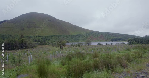 Extra wide shot looking west at Cogra Moss lake and Knock Murton. West lake district