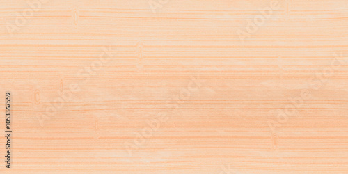 Εκτύπωση καμβά birch wood circles sawn rift cut texture background