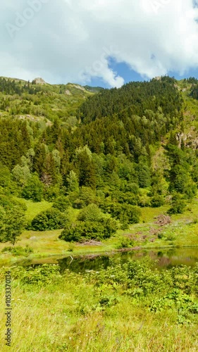 Lake and forest covered mountain with motion of the clouds. Landscape timelapse vertical footage. photo