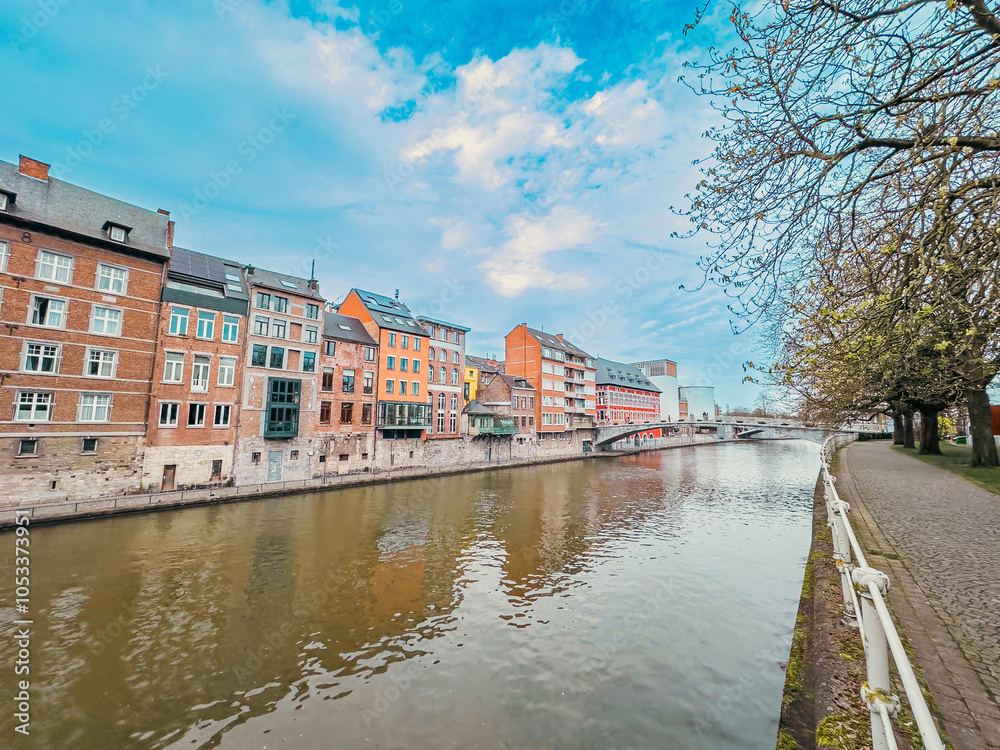 Obraz premium Cultural Heritage Explored: Journeying through Namur Timeless Street Scenes