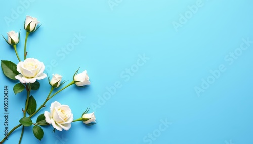  Elegance in bloom A bouquet of fresh white roses