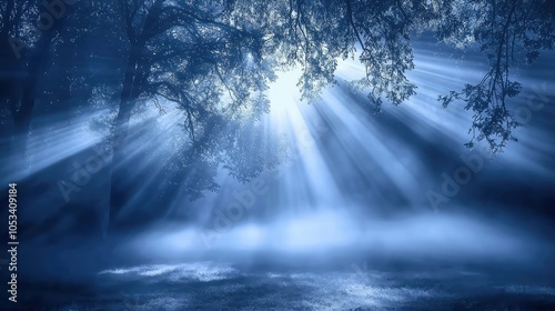 Serene Light Rays Streaming Through Fog