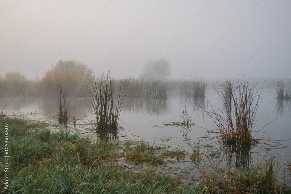Fototapeta premium misty morning on the river