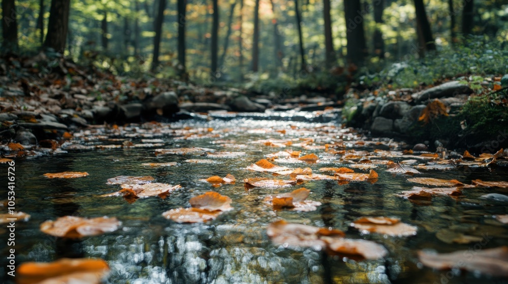 Fototapeta premium Leaves floating in a woodland brook