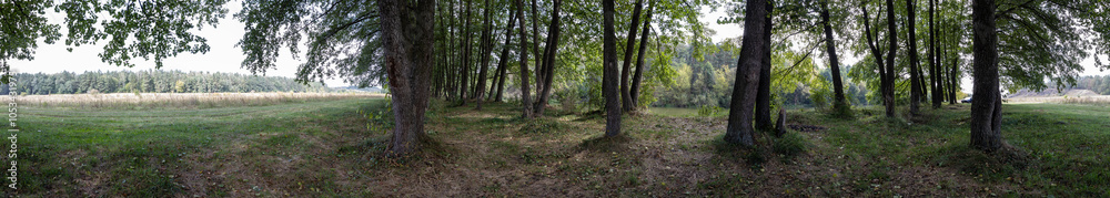 Forest and lake HDRI landscape, 360 degree panorama Forest and lake HDRI landscape, 360 degree panorama