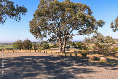 australian bushland landscape parkland in you yangs national park photo