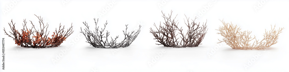 Fototapeta premium Four different color variations of a twig wreath isolated on a white background.