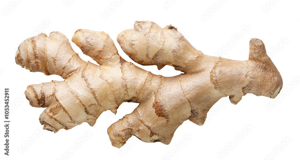 Ginger root close-up on white. Top view Ginger root close-up on white. Top view