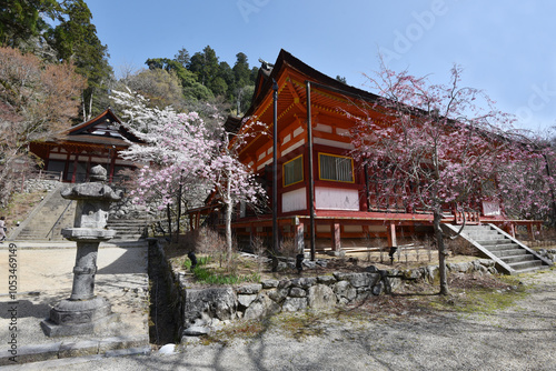 春の談山神社　権殿と神廟拝所　奈良県桜井市多武峰 photo