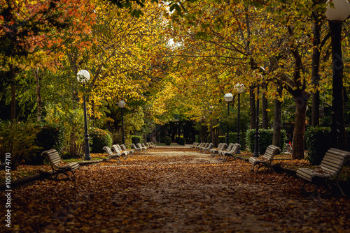 Autumn season in 'La Dehesa' park in Soria, Spain. Colorful picture.