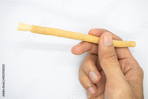 holding miswak or siwak toothbrush on isolated white background.