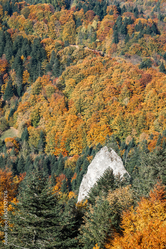 A lonely limestone rock against the background of a colorful autumn forest.