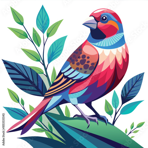 Pinch Bird Colourful Vector