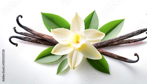 Vanilla pods, green leaves and flowers floating or flying isolated white background