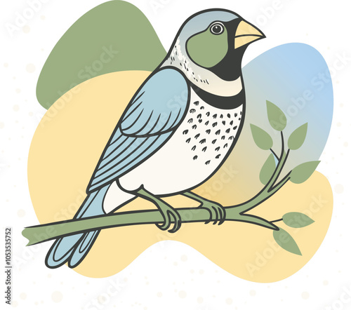 Pinch Bird Colourful Vector
