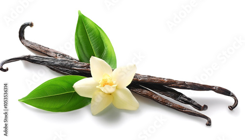Vanilla pods, green leaves and flowers floating or flying isolated white background