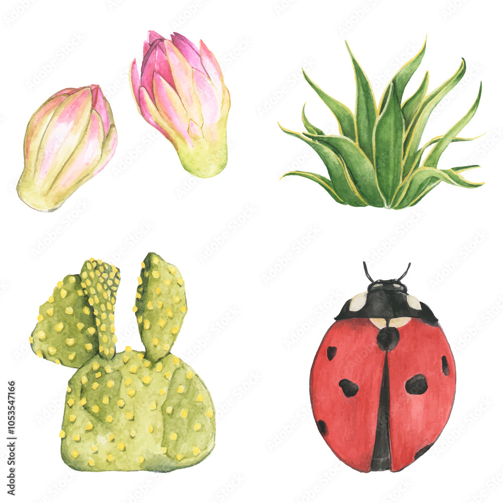 Ladybug and cactus png set
