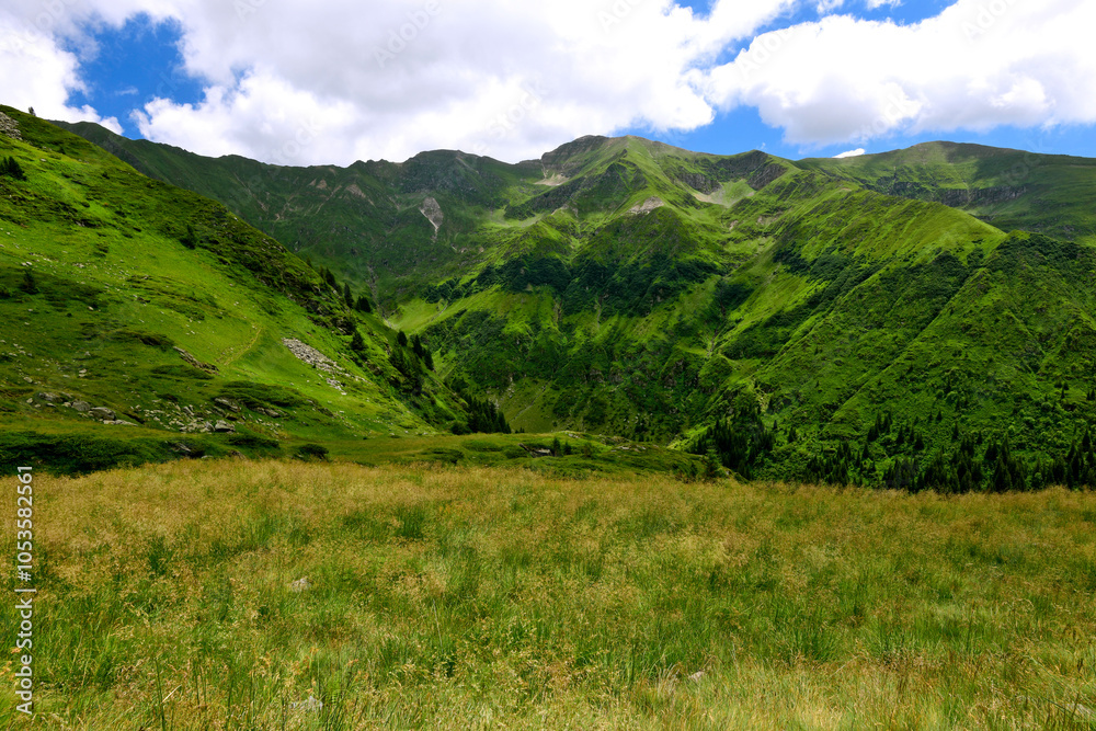 Fototapeta premium Gipfelregion des Moldoveanu - Transfogarascher Hochstraße, Făgăraș-Gebirge, Transsilvanische Alpen, Karpaten, Rumänien