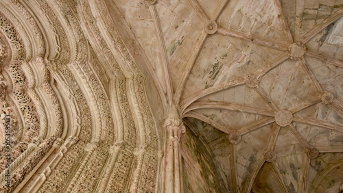 Принти на полотні Layers of Intricately Detailed Arches, Frame Left, with High Vaulted Ceilings, F
