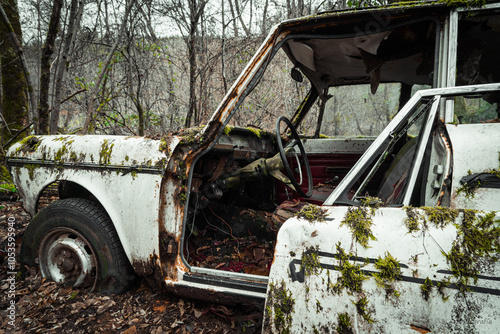 Nature vs. Car photo