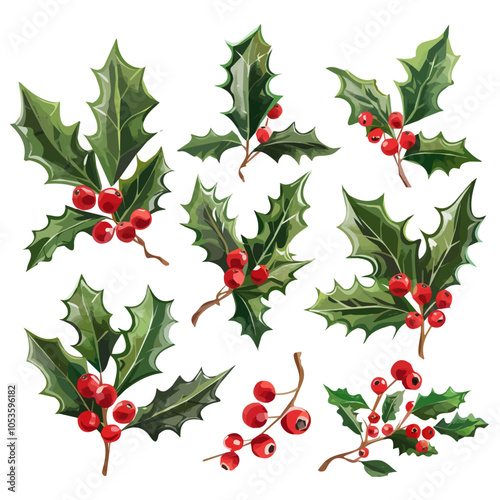 Watercolor Christmas Holly berry, branch with red berries and green leaves, holly on an isolated white background, watercolor illustration, hand drawing, Watercolor Christmas red Holly berry set 