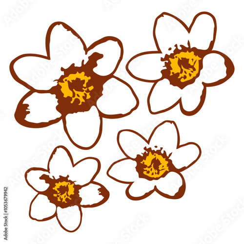 Many White Daisy Flower Pattern Design Happy Small Pretty Leaf Beautiful Green Plant Blooming Nature Lover Flowers Gardening Gardeners Thumb Garden Hobby Blooms Blossoms Gardener Leisure Summer