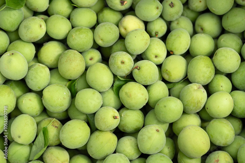 A pile of green plums is displayed, known for their tart taste and culinary uses.