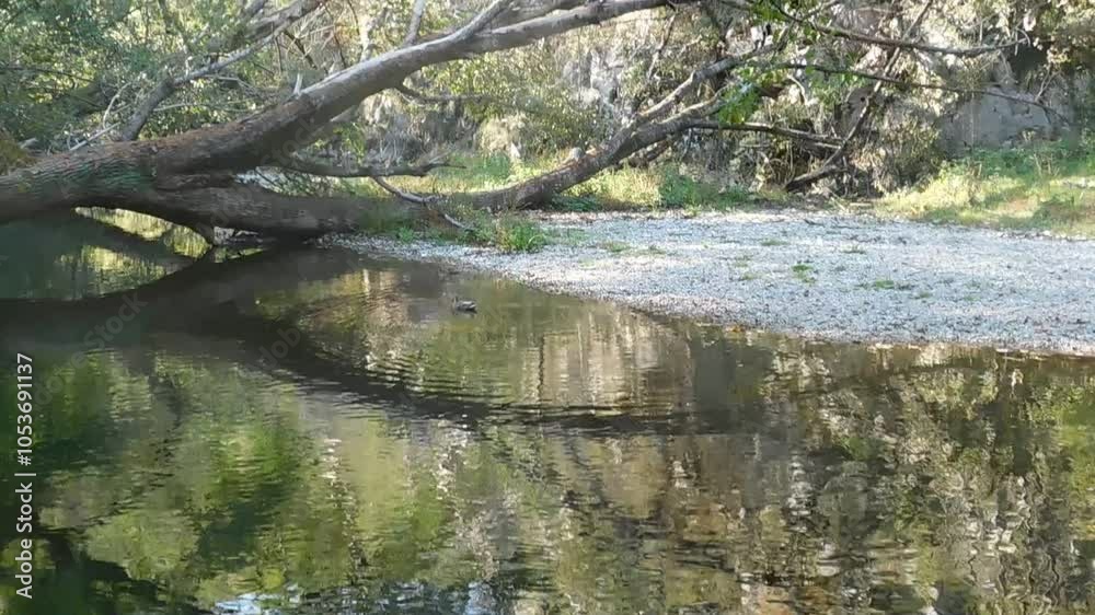 The incredible river Gradac Valjevo Serbia, a country they want to destroy with polluting mines 4 video The incredible river Gradac Valjevo Serbia, a country they want to destroy with polluting mines 4 video