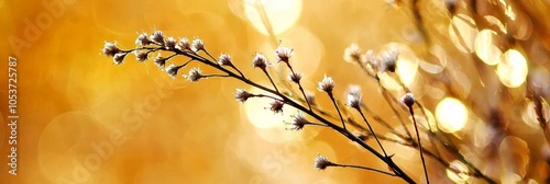  A flower in focus on a branch against a backdrop of softly blurred lights Foreground shows an intentionally imprecise floral image