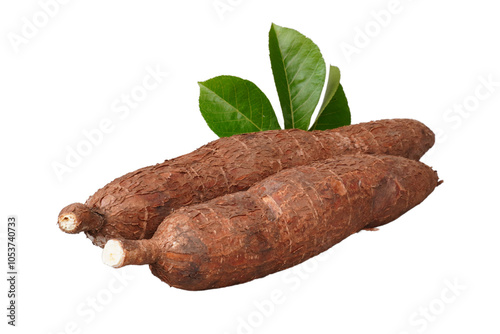 Cassava root and its leaf isolated transparent photo