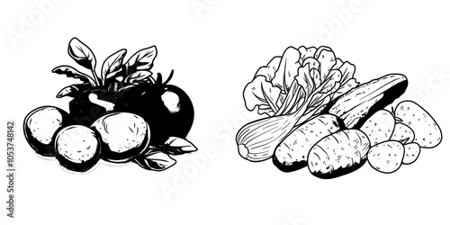 Vegetable and herb sketch collection isolated on white background. Doodle hand drawn vegetable icons. Modern illustration.