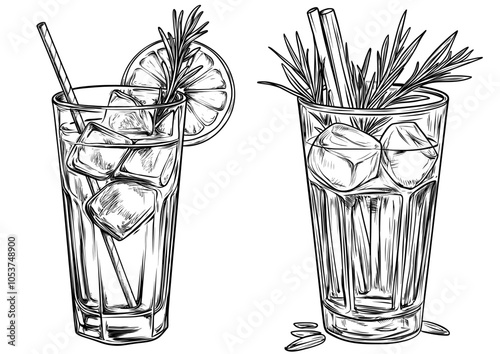 Highball cocktail hand-drawing isolated on white background with Gin and Tonic cocktail illustration. Modern sketch of alcoholic drink in elegant glass.