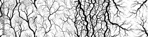 The roots of a tree are seamless, like a root system. Black roots of trees or plants are modern background illustrations.
