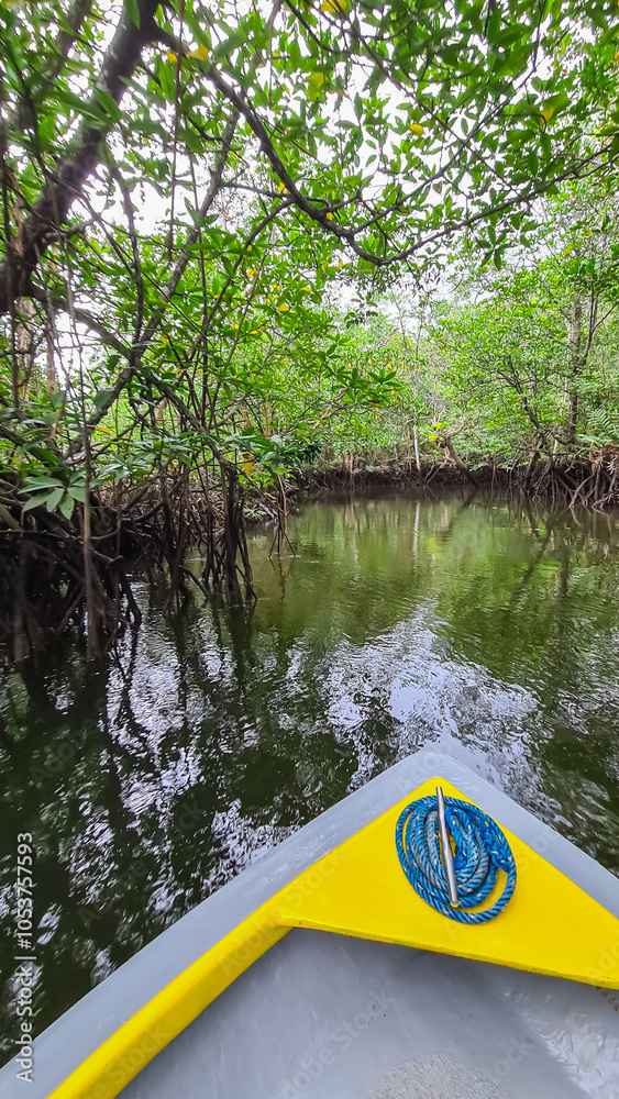 Obraz premium Serene boat journey through lush mangrove forest with network of roots extending into the water on Bintan Island, Riau, Indonesia. Canopy of green leaves creates a tunnel-like effect. South East Asia