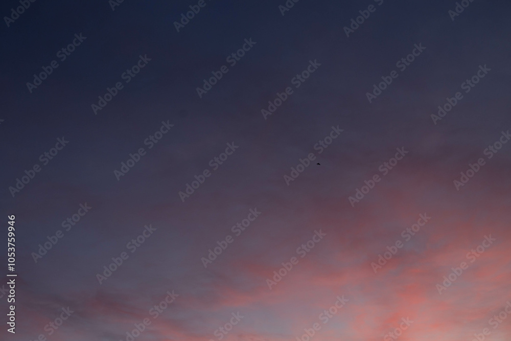Pink, Purple , Pastel sunset sky Background in the evening after sun down with colorful sunlight on Dusk sky clouds Pink, Purple , Pastel sunset sky Background in the evening after sun down with colorful sunlight on Dusk sky clouds