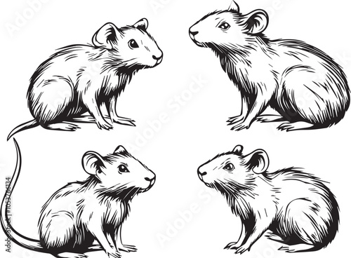 Set rats. Hand drawn vector illustration	