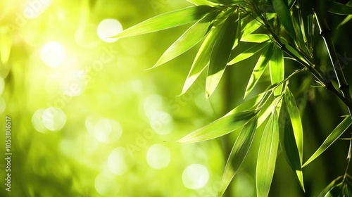 Close-up of Lush Green Bamboo Leaves Against a Blurred Background