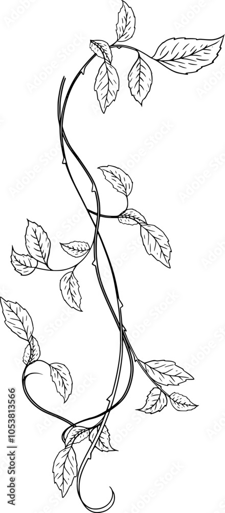 Fototapeta premium Rose garden illustration in Fine line art 