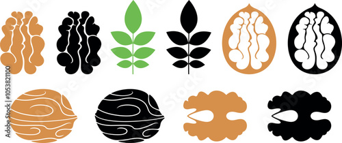 Walnut logo. Isolated walnut on white background. Set 
