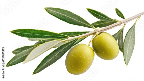 Wallpaper Mural Olive branch featuring two green olives set against a white background Torontodigital.ca