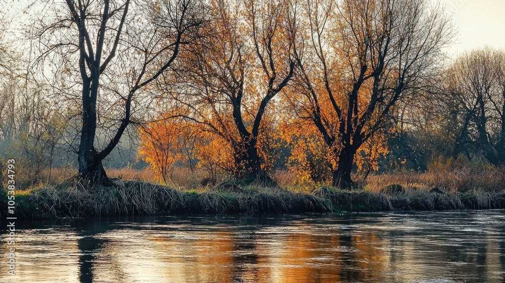 Fototapeta premium Trees On The River Bank