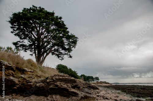 Bretagne, Damgan, baie de Kervoyal