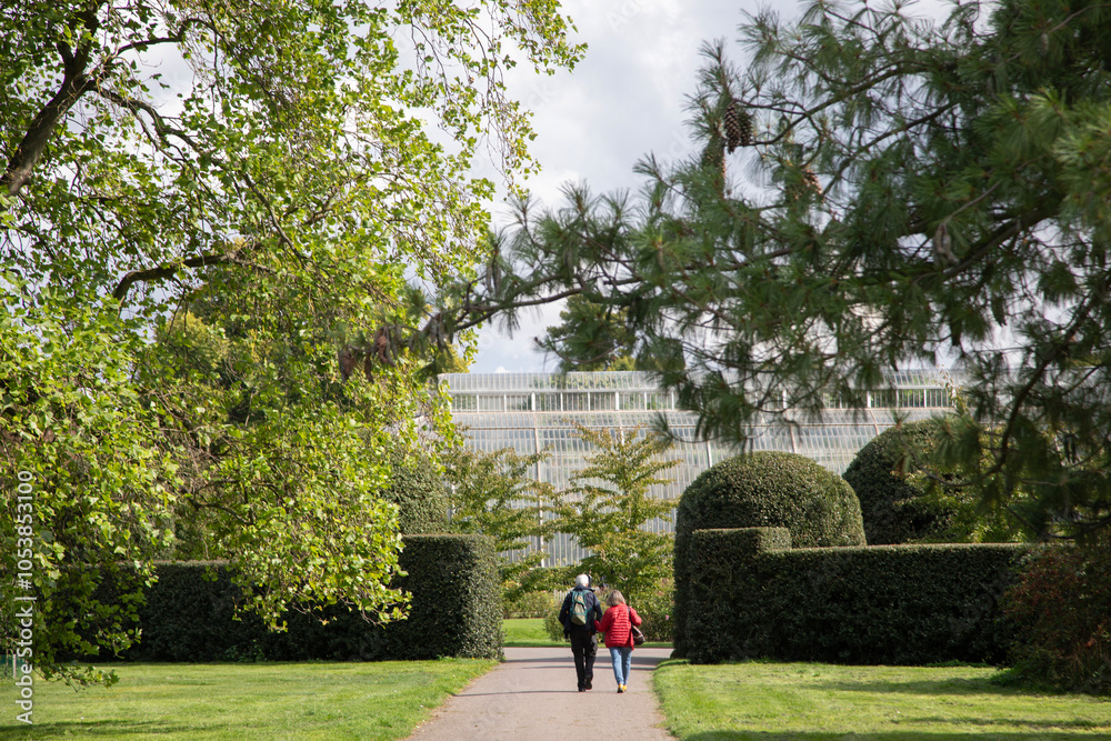Fototapeta premium walking in the park Kew Garden