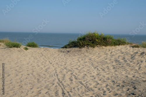 FU 2023-06-11 Belgien 87 Blick über die Dünen auf das Meer