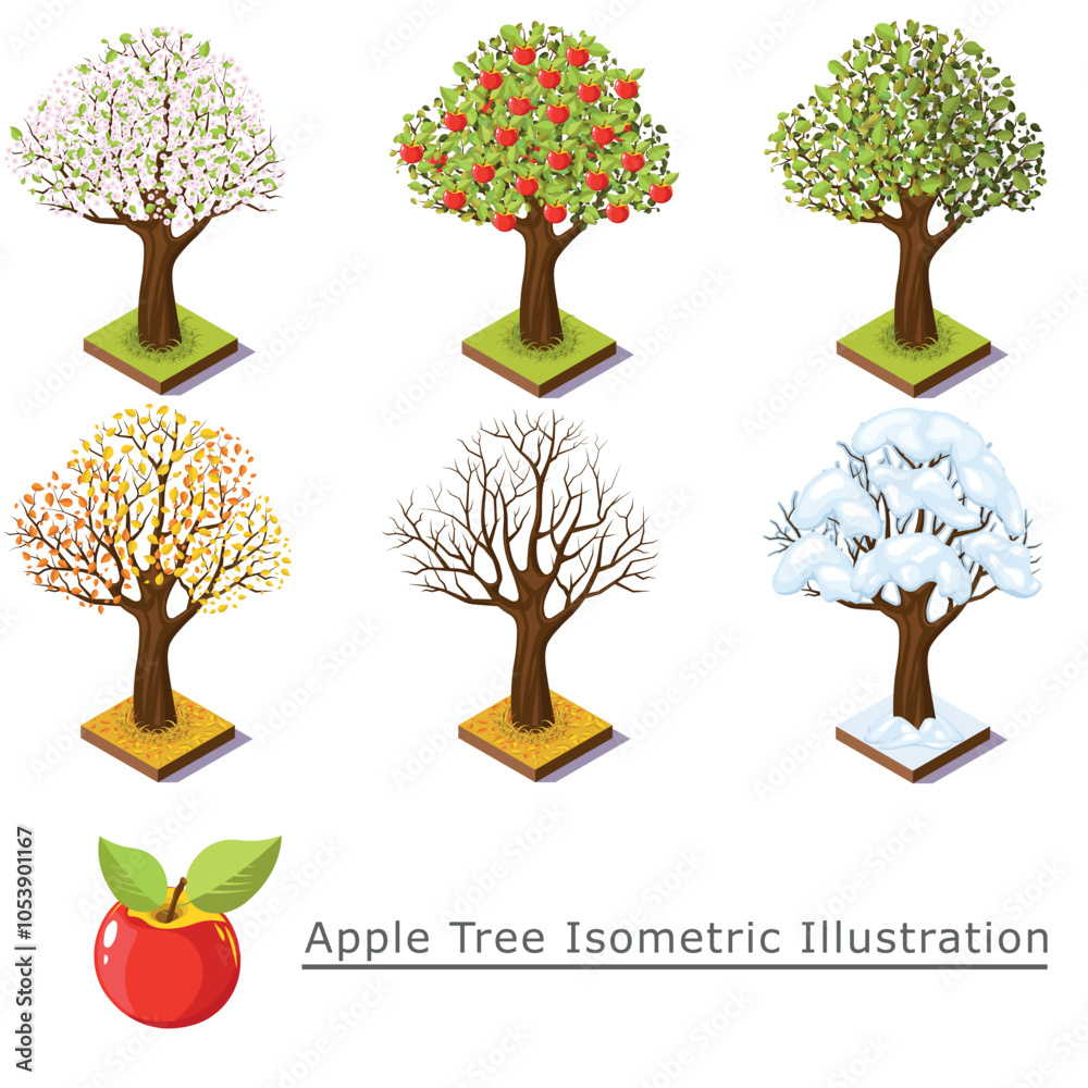 Obraz premium An isometric illustration showcasing apple trees throughout various seasons